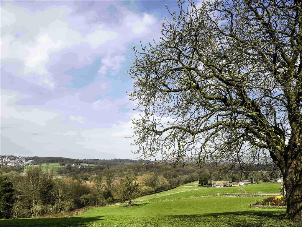 Mercure Bradford, Bankfield Hotel Μπράντφορντ Εξωτερικό φωτογραφία
